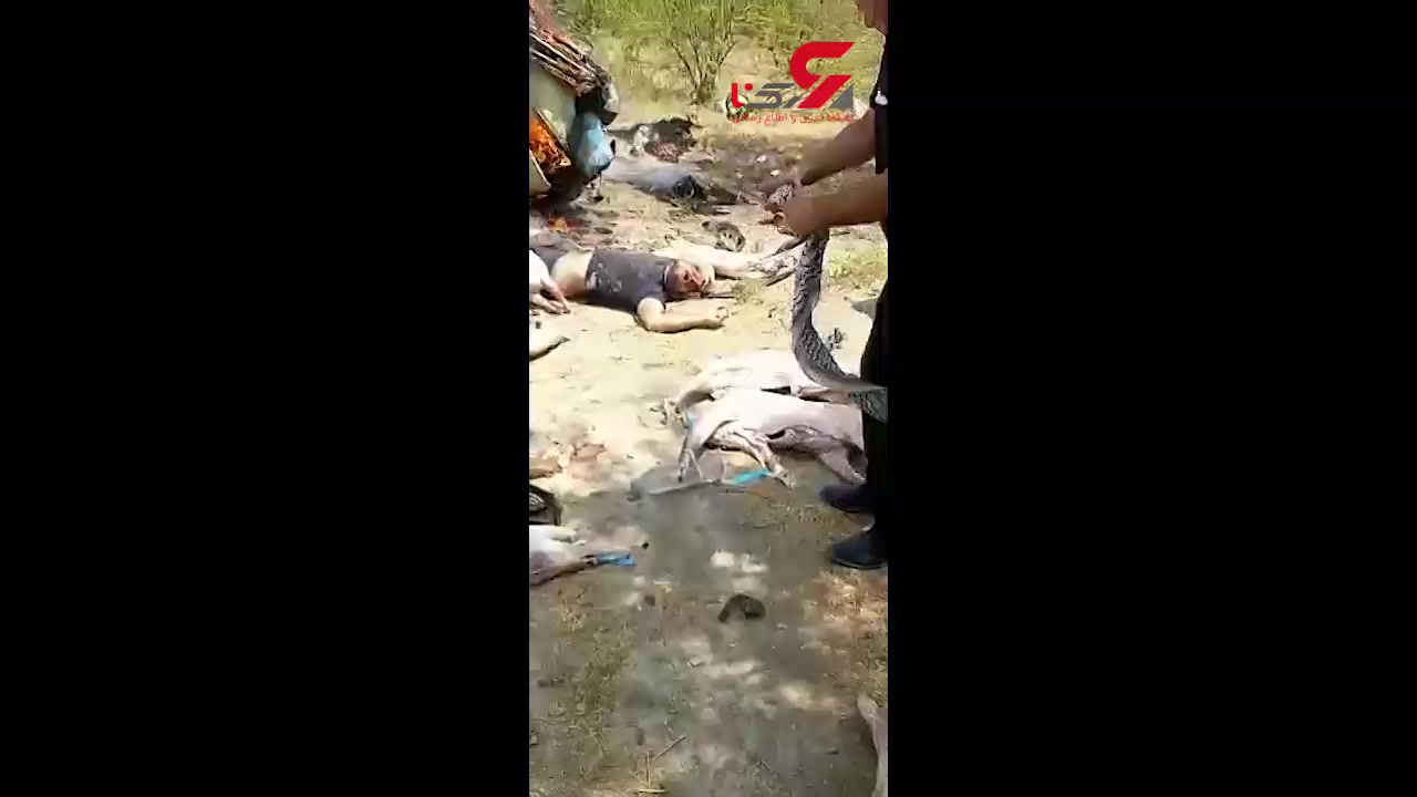 واژگونی خودروی حامل گوشت سگ در خوزستان