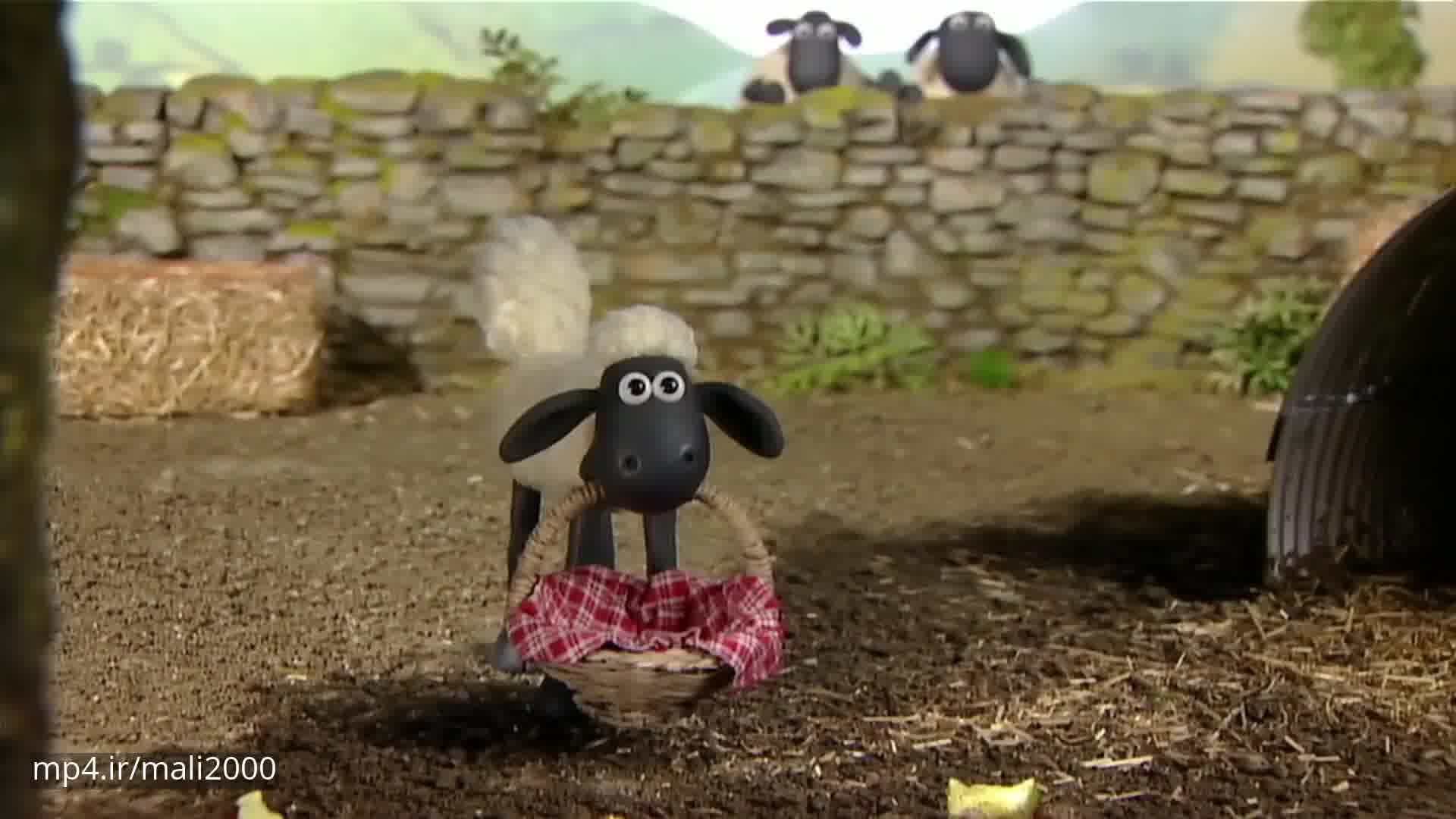 کارتون بره ناقلا - گوسفندهای کوچک وحشت زده