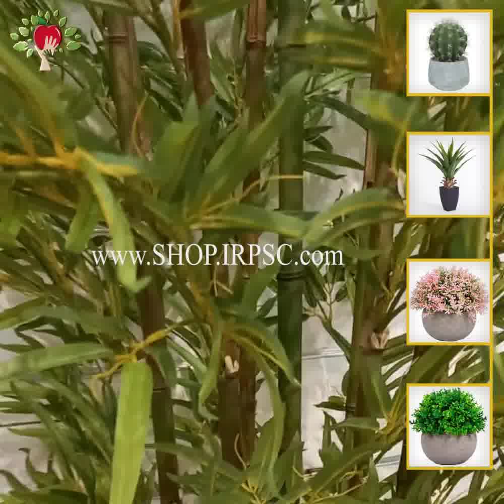 پخش درختچه مصنوعی بامبو خیزران اروپایی ارتفاع 250 سانتیمتر| فروشگاه ملی