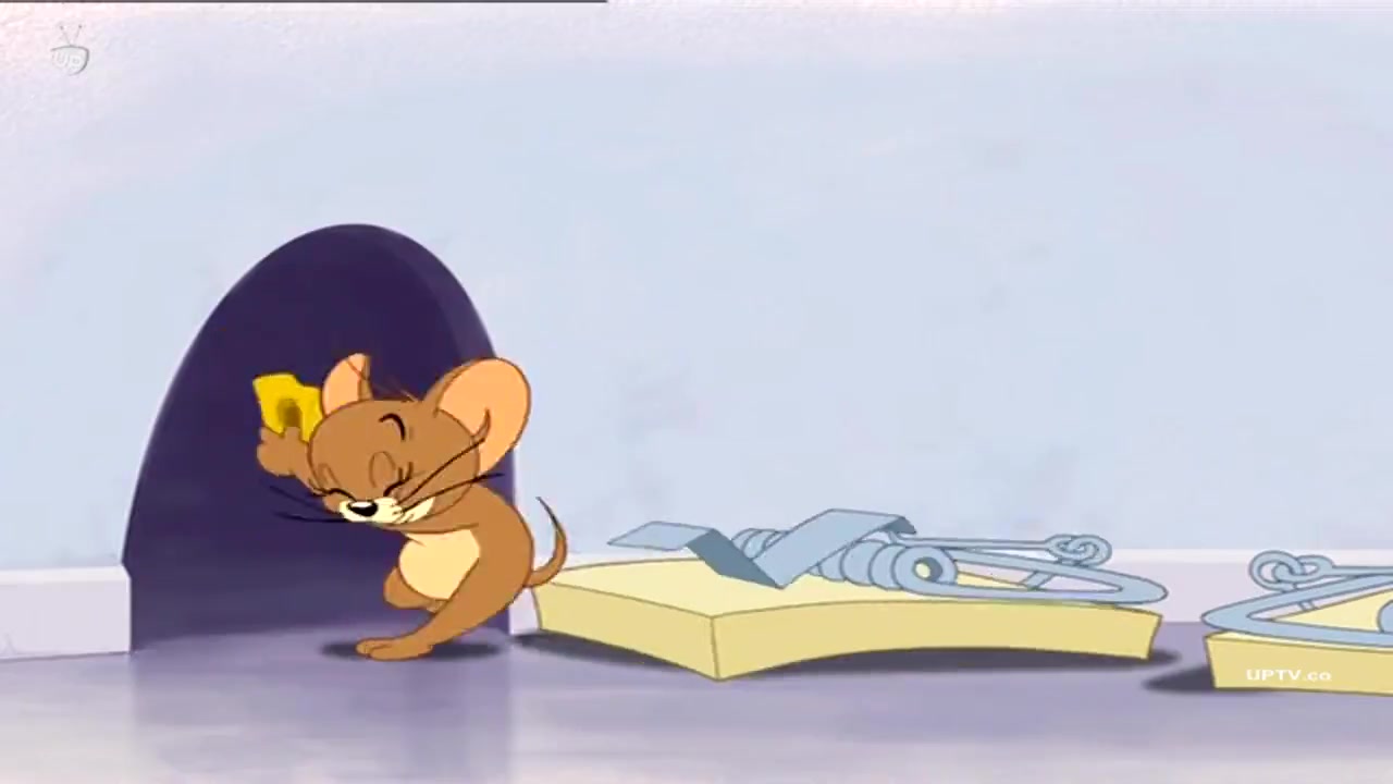 انیمیشن تام و جری - گربه شکاری