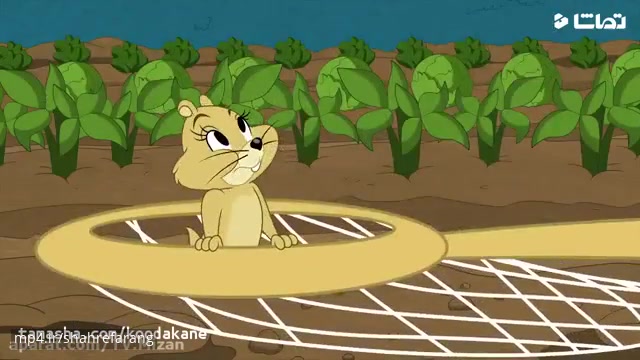 انیمیشن تام و جری خانواده خرگوش ها