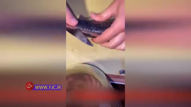 آموزش ترفندی عالی برای پاک کردن ماهی