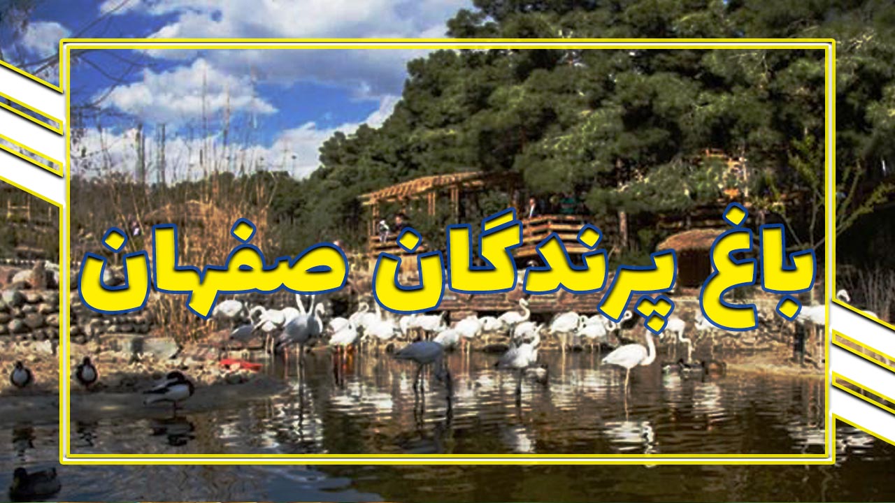 باغ پرندگان اصفهان | میعادگاه علاقه مندان پرنده های آوازه خوان