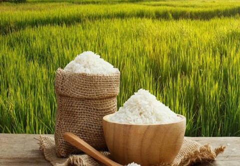 با خواص و مضرات برنج آشنا شوید !